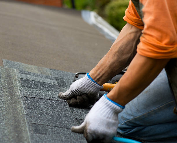 Best Gutter Installation and Roofing  in Reiffton, PA